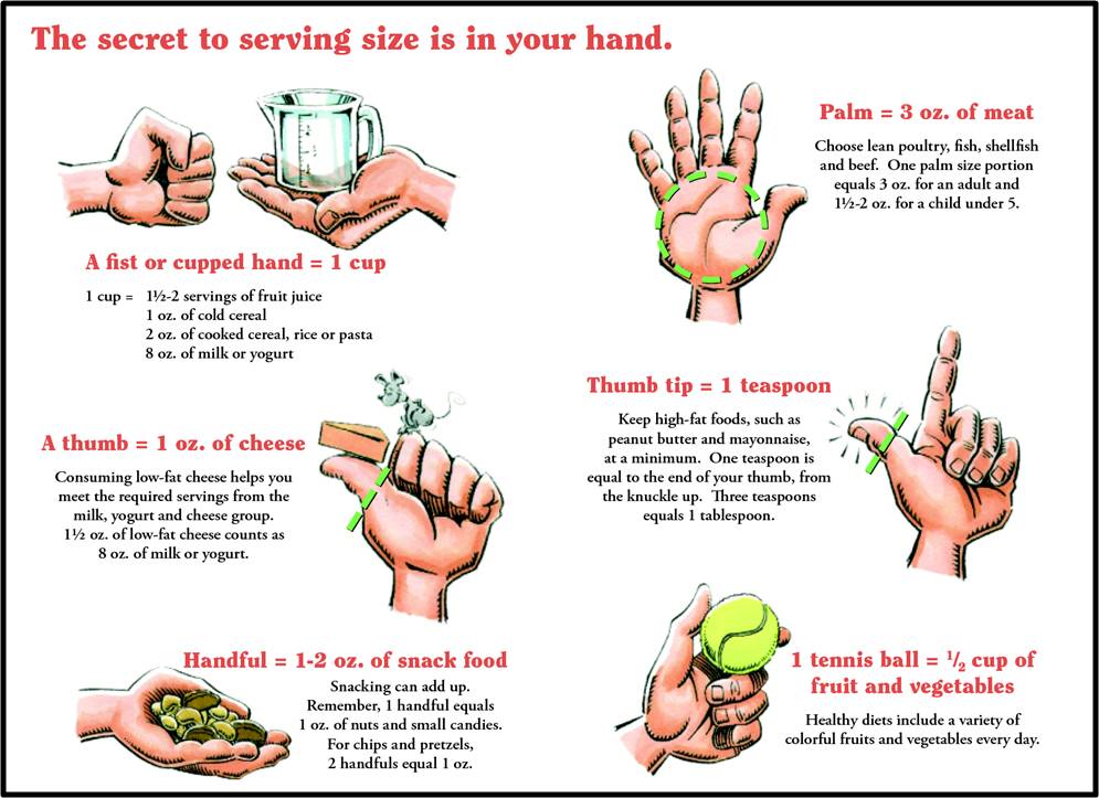 portion-size-using-handscover