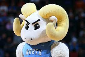 Photo of Ramses, the ram mascot for UNC Chapel Hill.